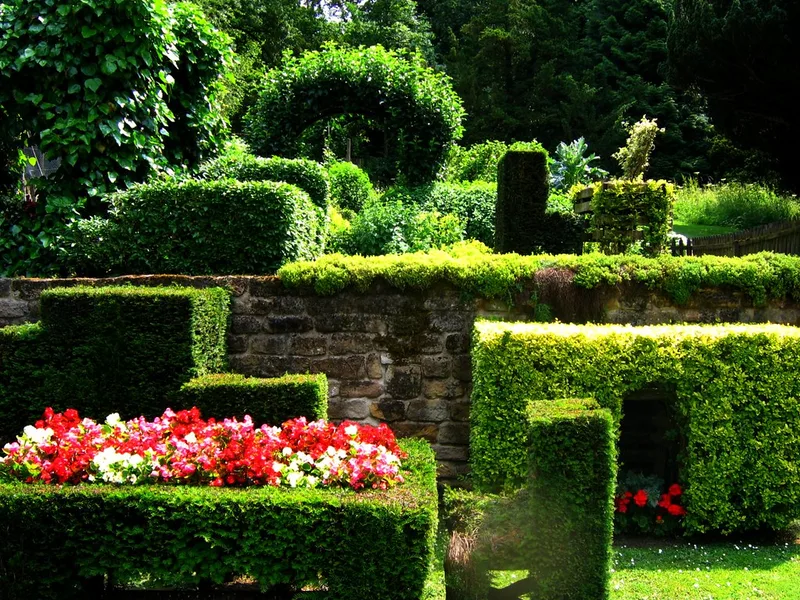 A formal French garden with geometric hedges beside a wilder informal lawn